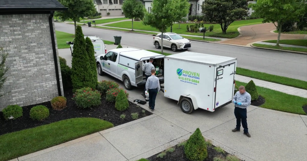 Complete Pest Control Solutions