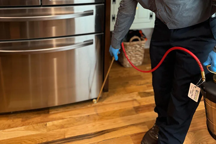 Preventive Pest Programs