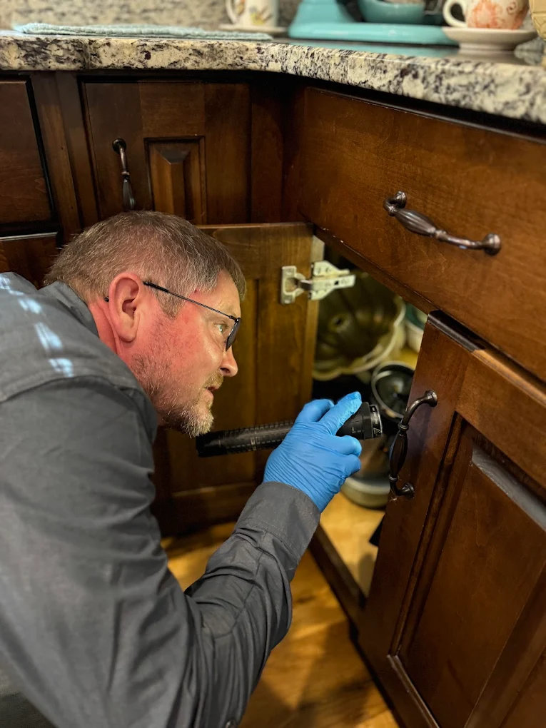 Technician inspecting for rodent entry points