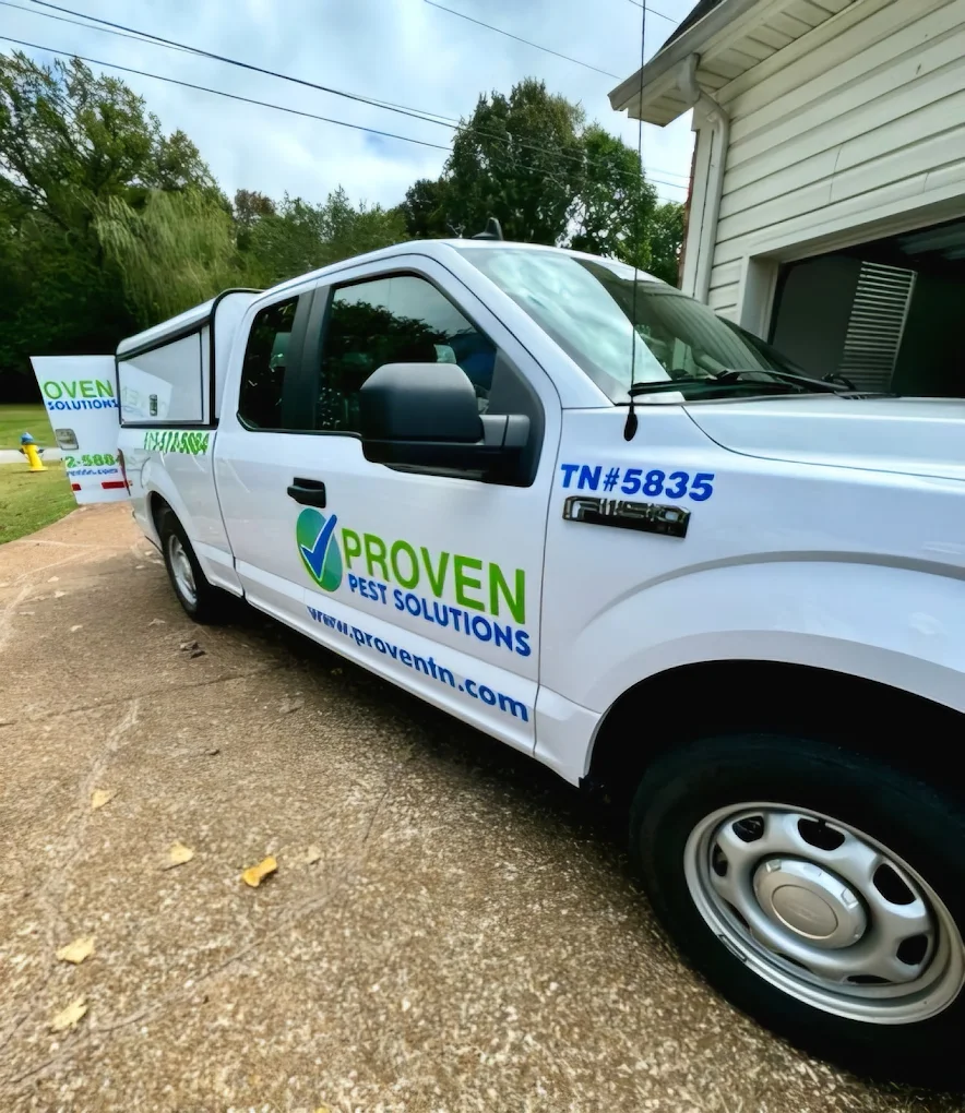 Contact Proven Pest Solutions