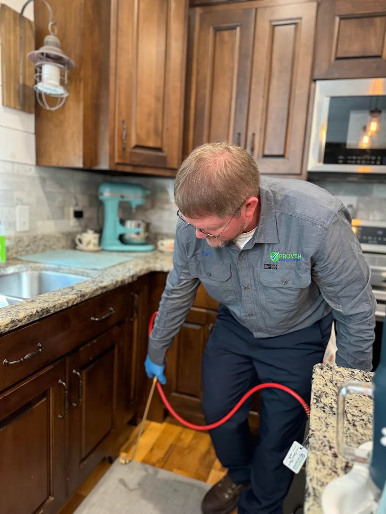 Professional spraying pest solution